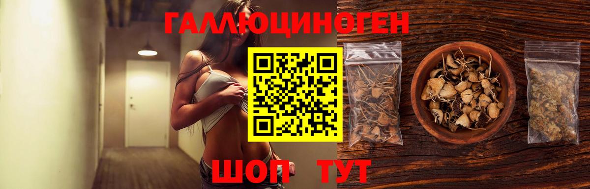 Псилоцибиновые грибы мицелий  Вход с VPN  Балашиха 